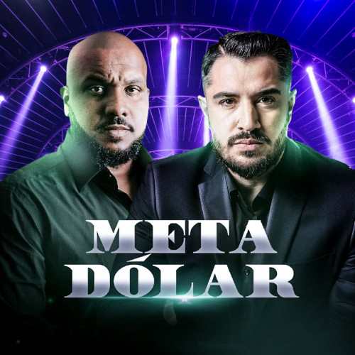 Meta Dólar: Seu Passaporte para Ganhar em Dólar Sem Sair de Casa Dicas de Cursos e finanças para Investidores